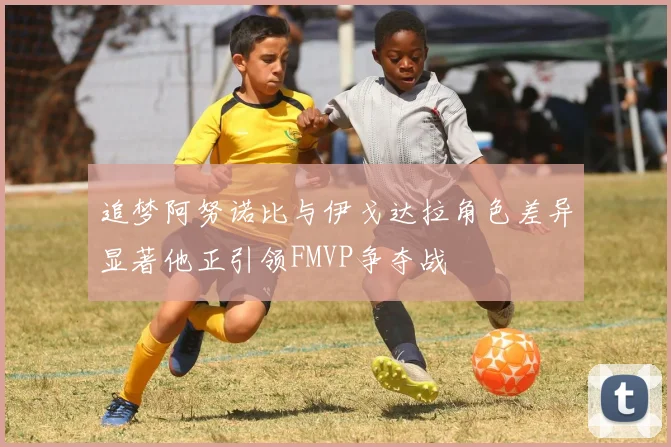 追梦阿努诺比与伊戈达拉角色差异显著他正引领FMVP争夺战