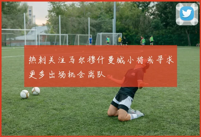 热刺关注马尔穆什曼城小将或寻求更多出场机会离队
